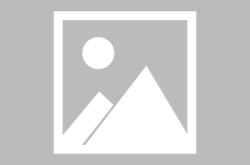 宁乡县红网,聚焦本土发展，传递民生温度