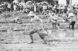 湖南农耕小姐姐,传承农耕文化，展现乡村魅力